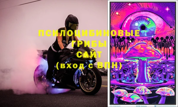 ECSTASY Абаза