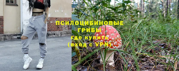 ECSTASY Абаза