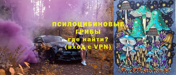 ECSTASY Абаза