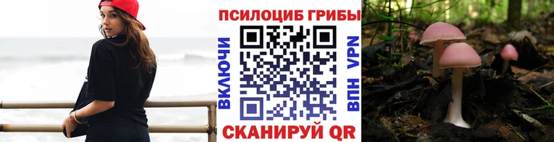 Псилоцибиновые грибы MAGIC MUSHROOMS  Тутаев 