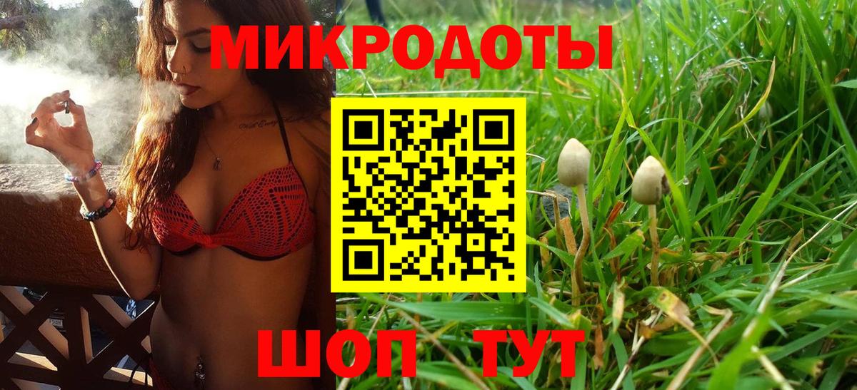 Тутаев  Галлюциногенные грибы мухоморы  хочу наркоту  Вход с VPN 