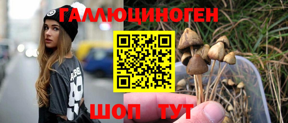 Галлюциногенные грибы Cubensis Тутаев