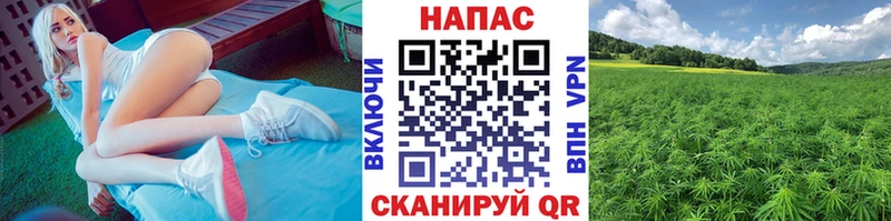 Шишки марихуана OG Kush  ссылка на мегу рабочий сайт  Тутаев 